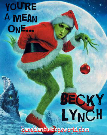 Youre%20a%20mean%20one%20Becky%20Lynch
